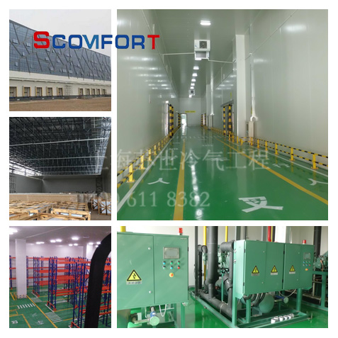 電商生鮮冷庫 上海蘇世冷氣工程冷庫專家 021-66105069 電商生鮮冷庫 上海蘇世冷氣工程冷庫專家 021-66105069