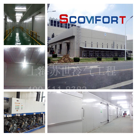自動立體冷庫 上海蘇世冷氣工程專業(yè)冷鏈 021-66105068 自動立體冷庫 上海蘇世冷氣工程專業(yè)冷鏈 021-66105068