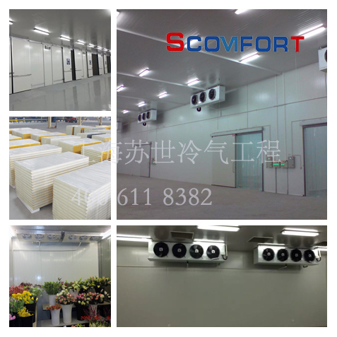 10000噸全自動化立體冷庫 歡迎來電咨詢上海蘇世冷氣工程 021-66105068 10000噸全自動化立體冷庫 歡迎來電咨詢上海蘇世冷氣工程 021-66105068